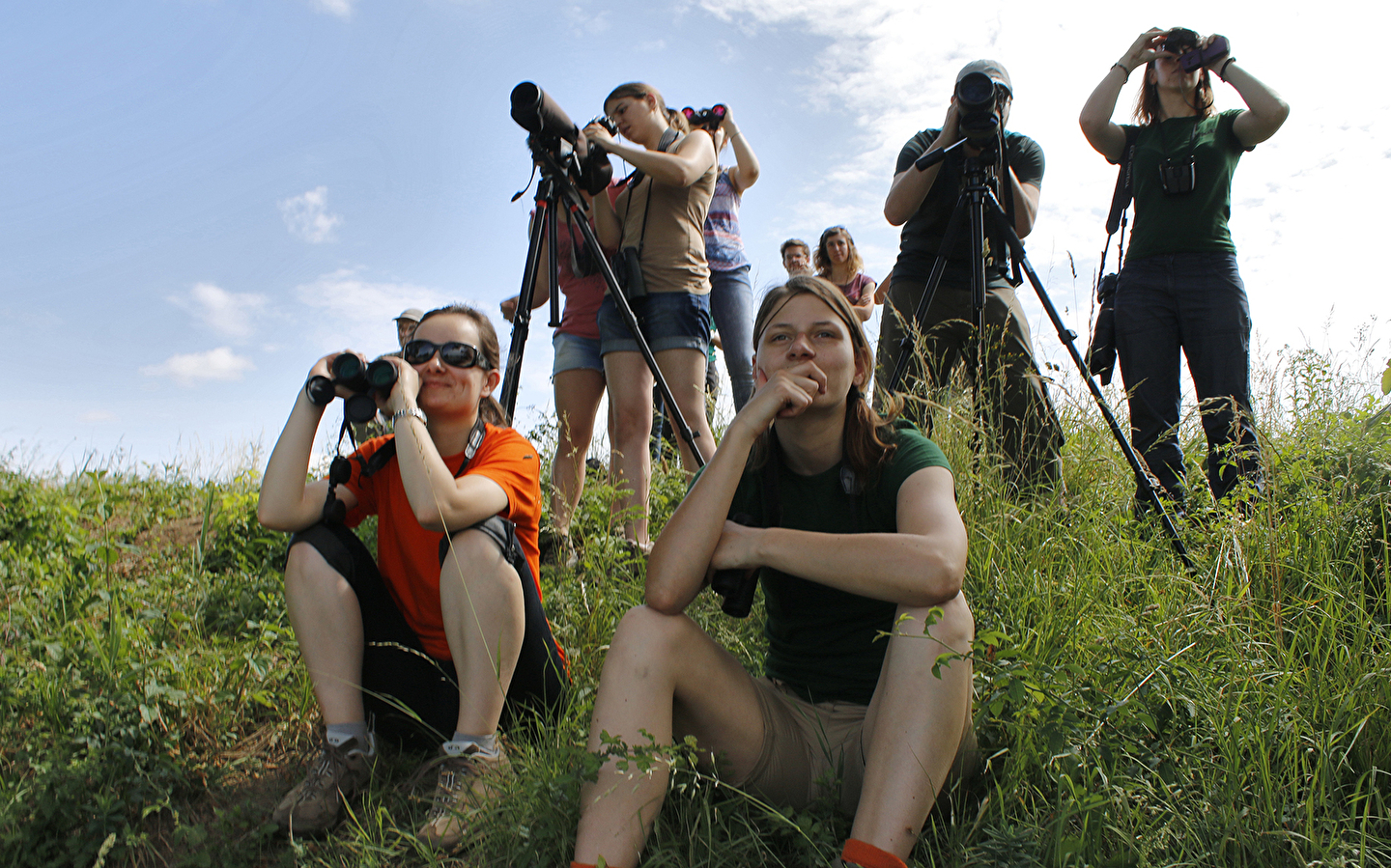Het tellen van overwinterende watervogels in de bekkens van Saint-Vit en Osselle