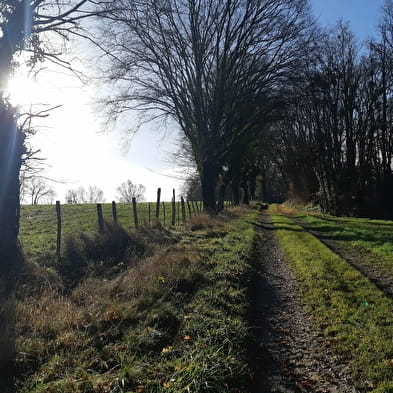 Sur les chemins de St Didier d'Aussiat (VTT)