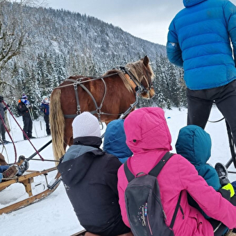 Promenade en petit groupe en luge attelée - MIJOUX