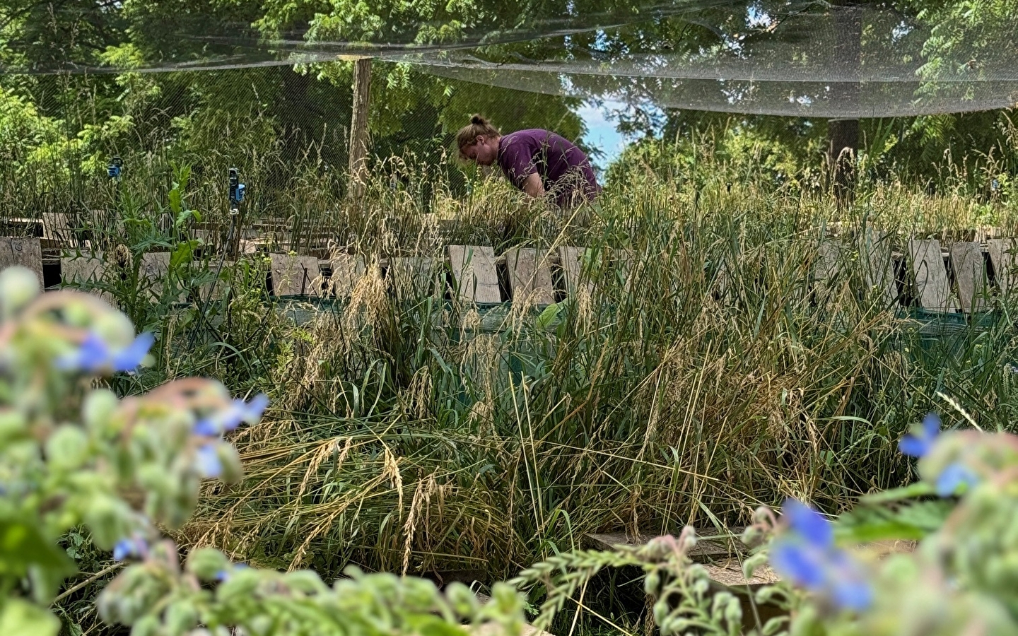 Bezoek de slakkenkwekerijen en proef hoeveproducten