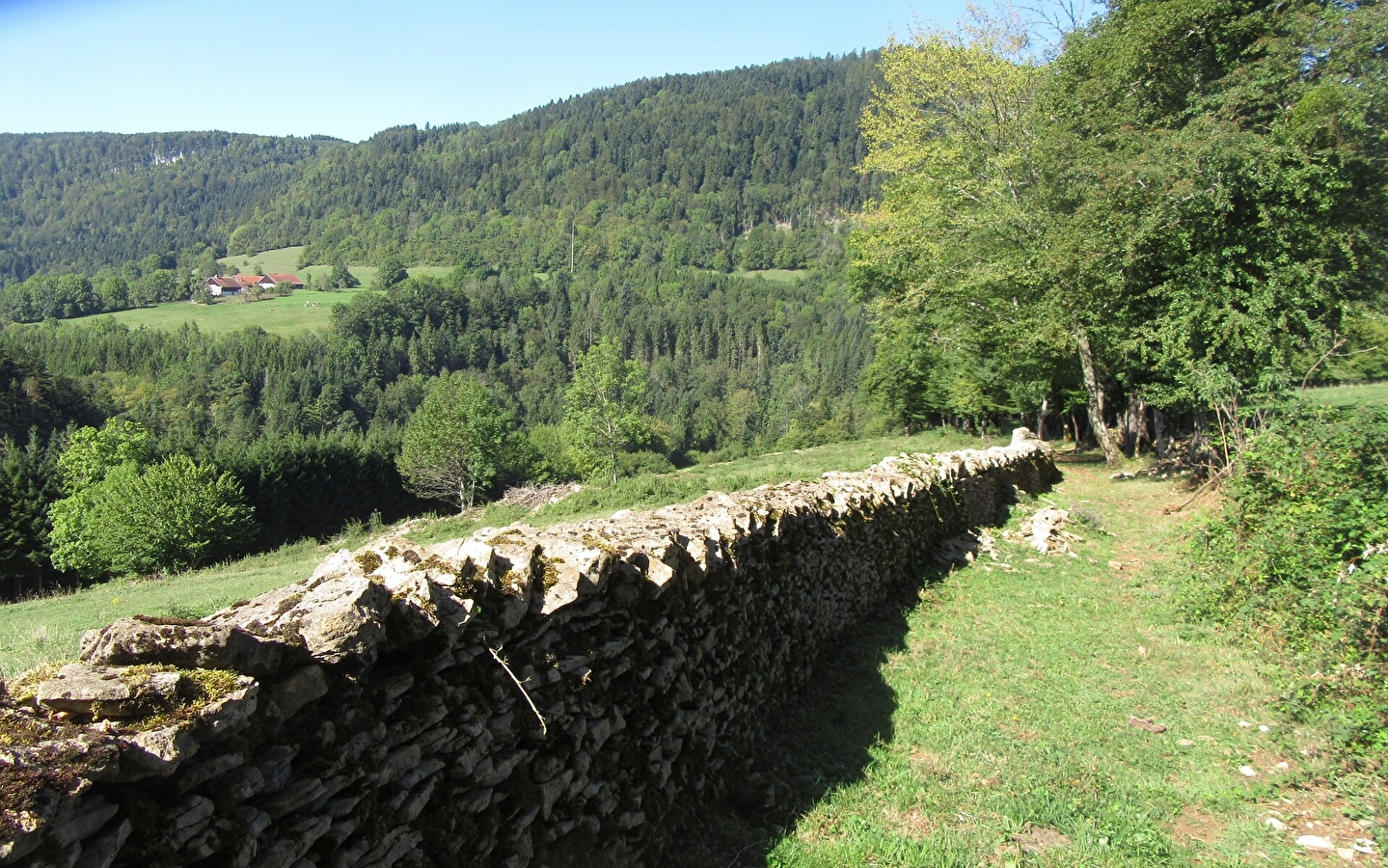 Stenen muur(en)
