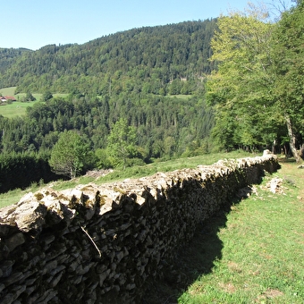Stenen muur(en) - LAVAL-LE-PRIEURE