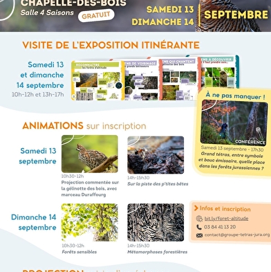 Hoge bossen, bossen van links: tentoonstelling, evenementen, projectie