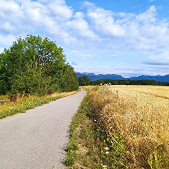 Voie Verte - Ferney-Gex naar Ornex - FERNEY-VOLTAIRE