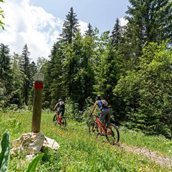 Tour du Risoux MTB nr. 17 - BELLEFONTAINE