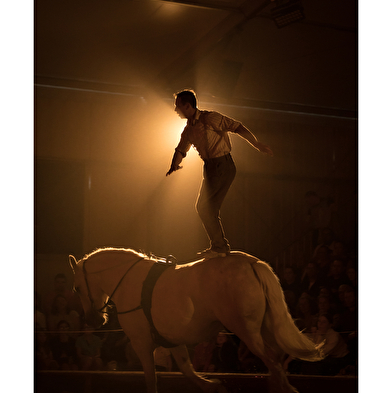 De automatische serveerster