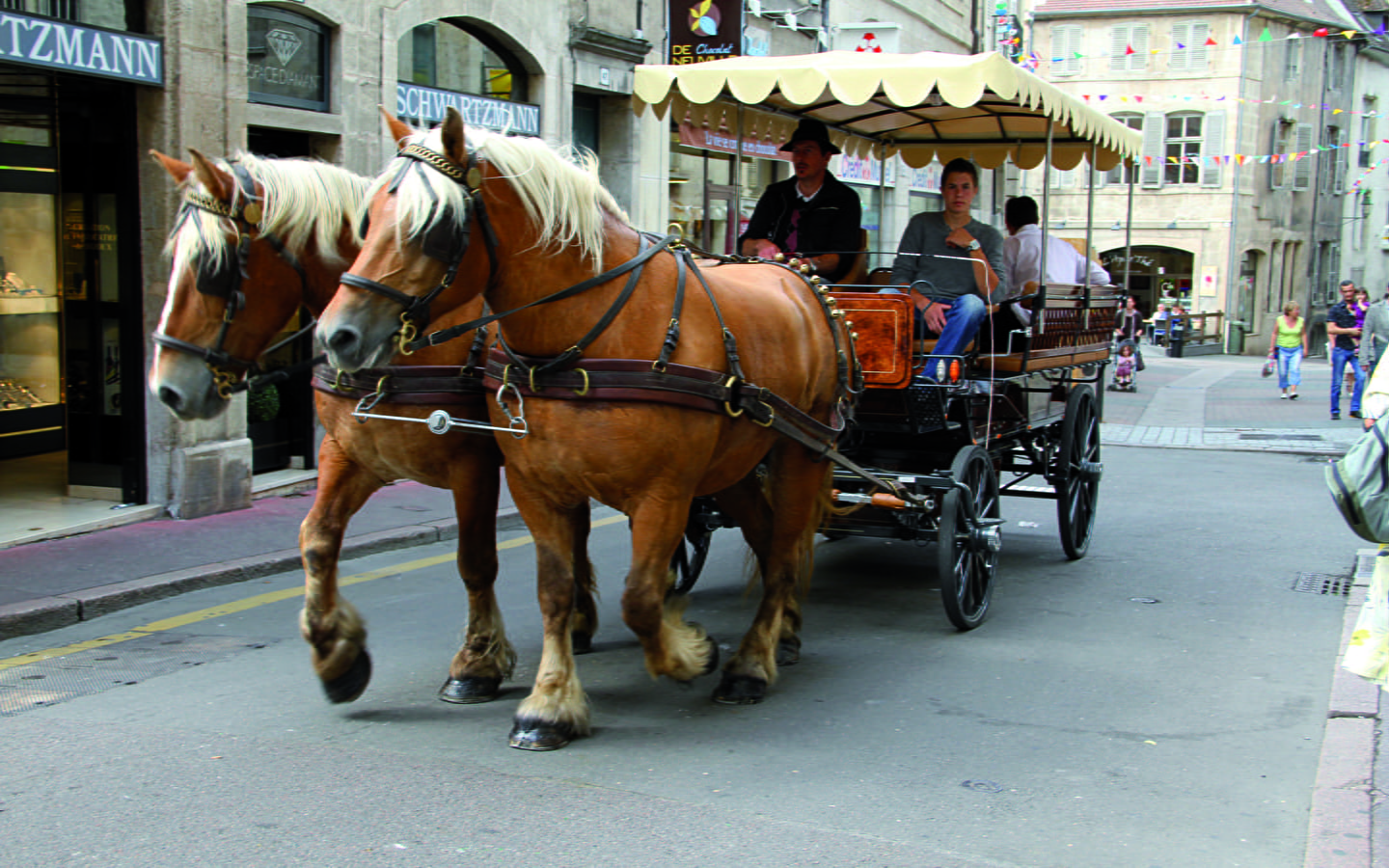 Ritje met paard en wagen