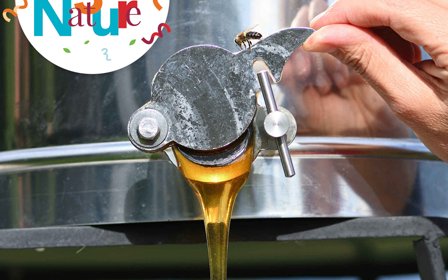 123 NATUUR WORKSHOP: Honing extractie