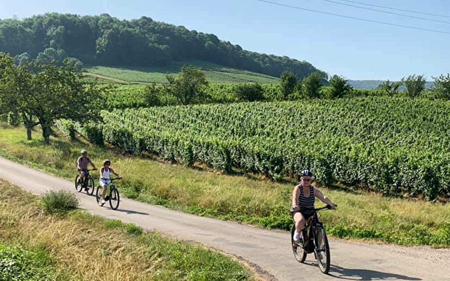 Ontdekking van de wijngaarden per fiets
