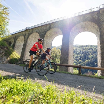 De demonische brug - Kringloop 01 - HAUTS DE BIENNE
