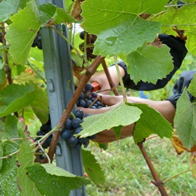 Domaine Véronique Antoine