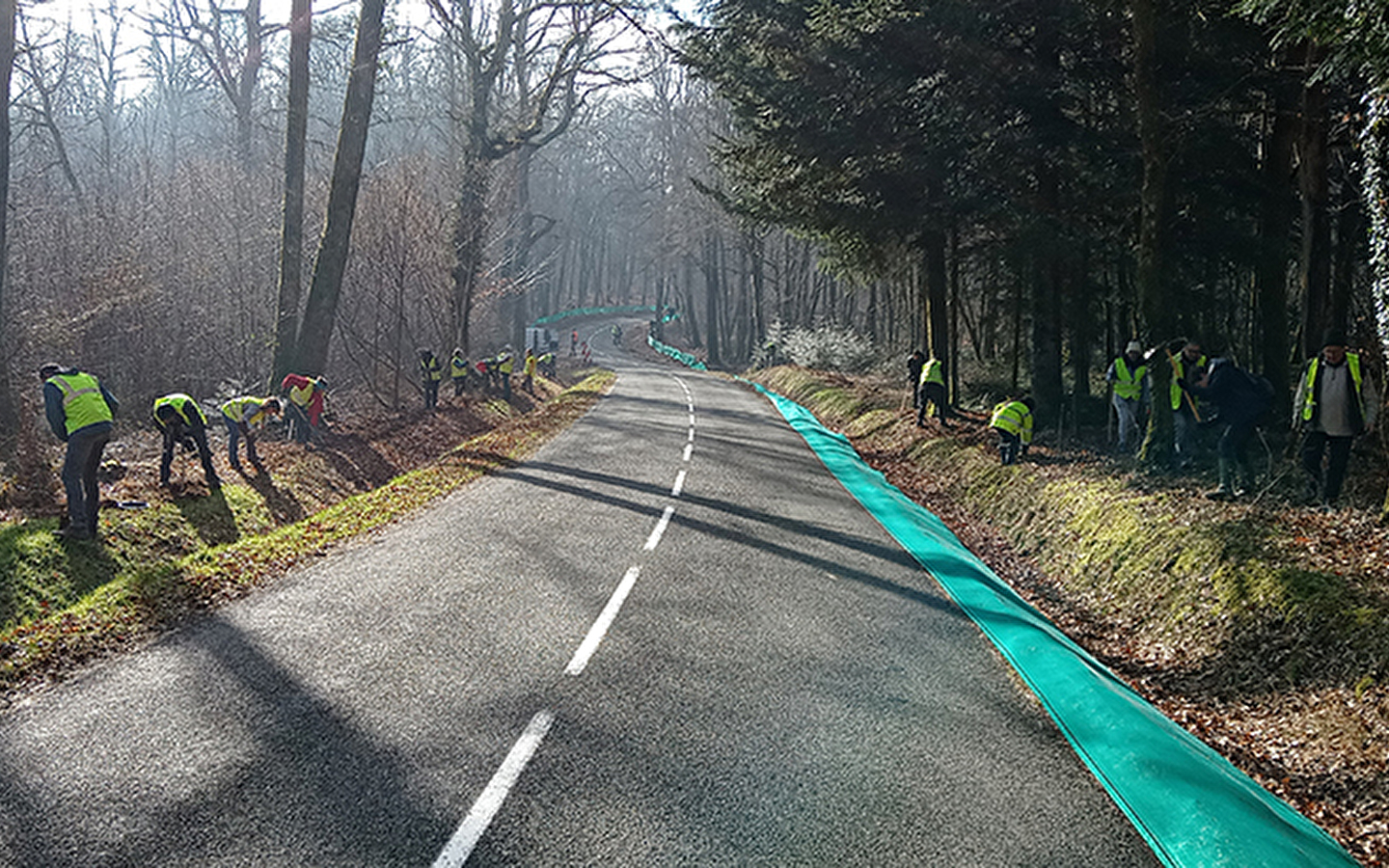 Amfibieën beschermen in Saules